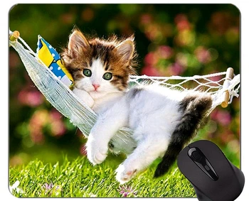 Podložka pod myš s Stitched Okraj,hojdacia sieť mačiatko zvierat cute cat trávy Home Office Príslušenstvo k Počítačom Mousepads Obrázok